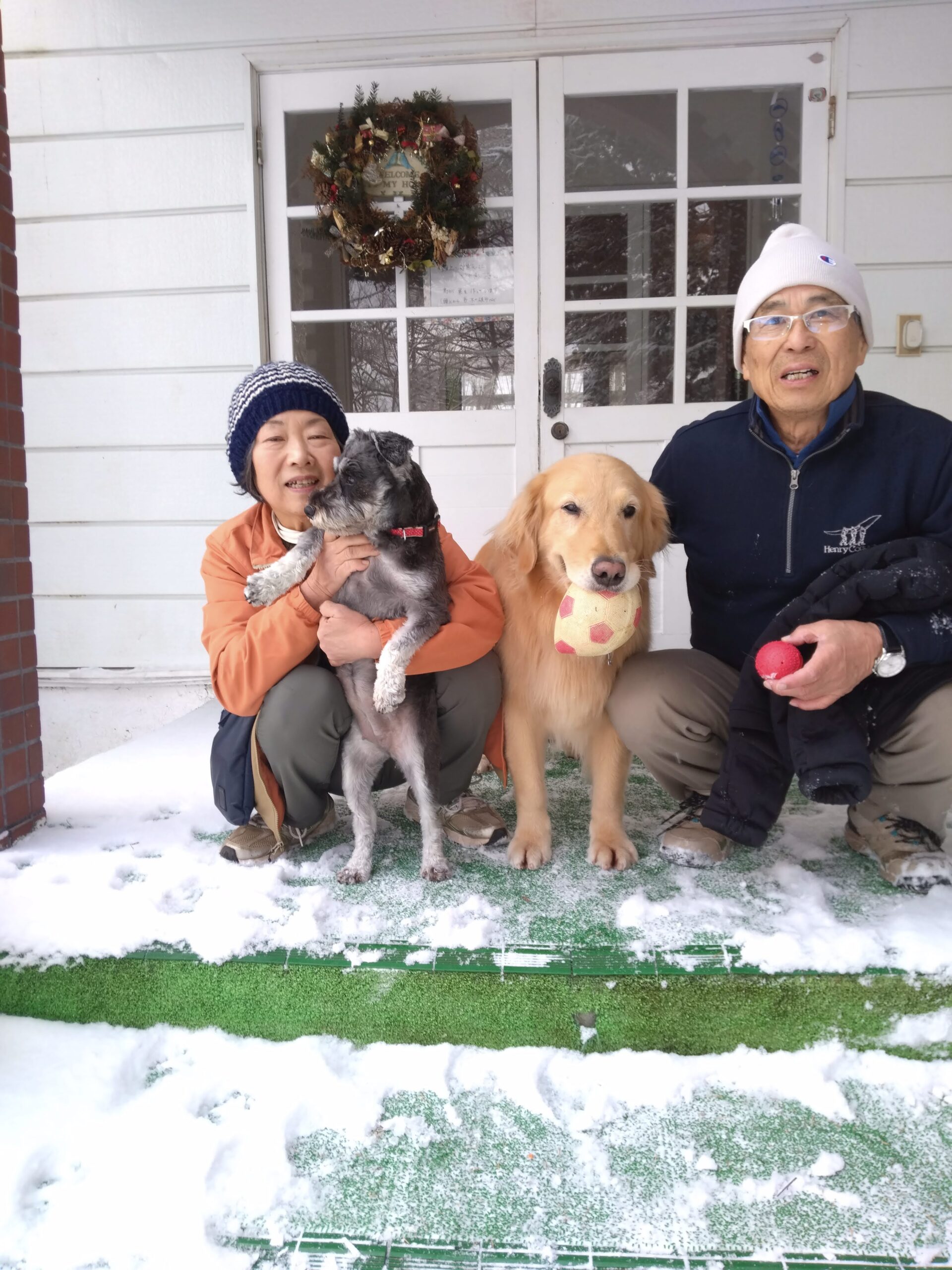 我が家の愛犬さくらとすみれちゃん