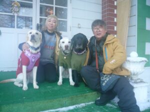 我が家の愛犬コーク・グラブ・フィリップくん