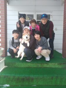 我が家の愛犬ハルくん