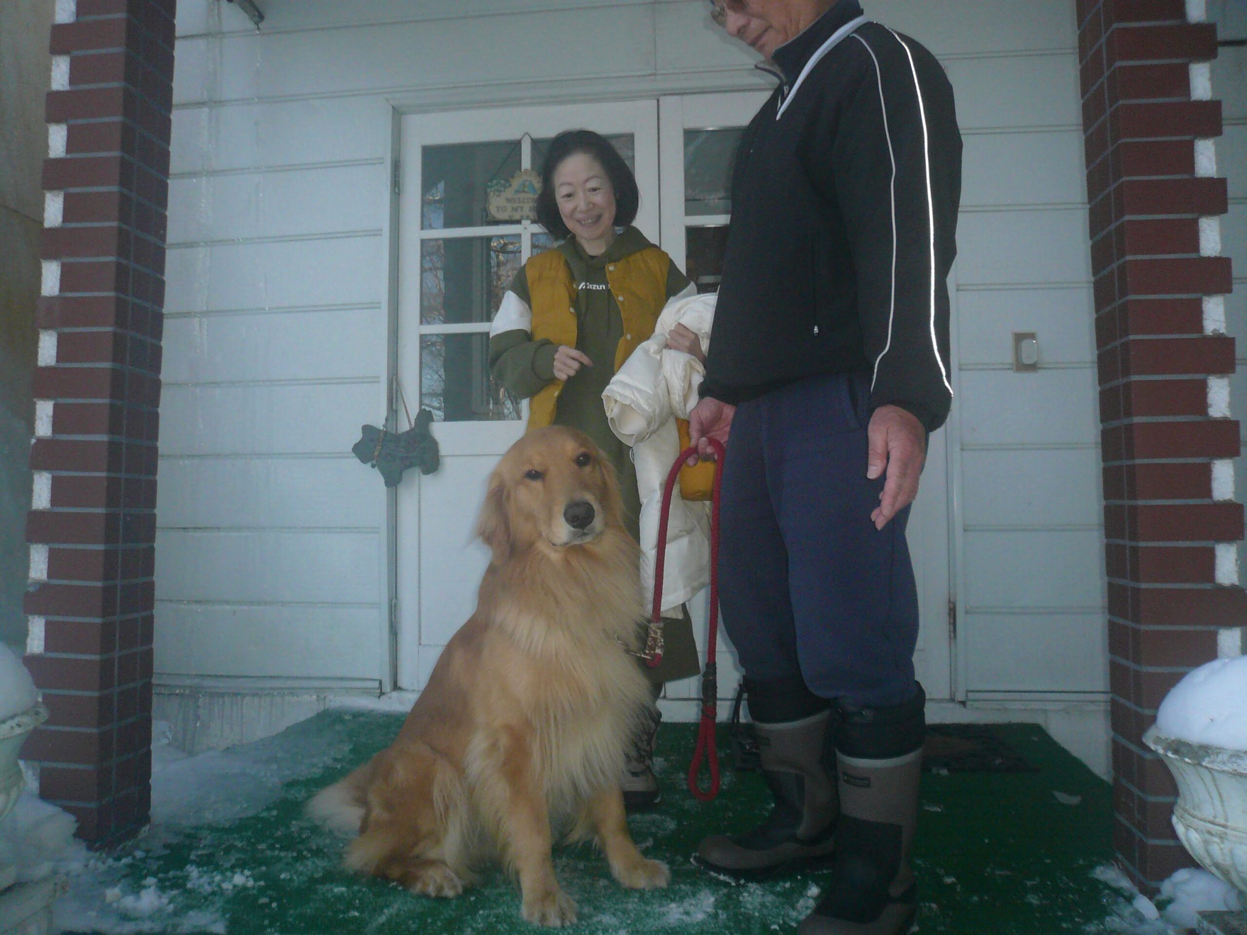 我が家の愛犬サラダくん