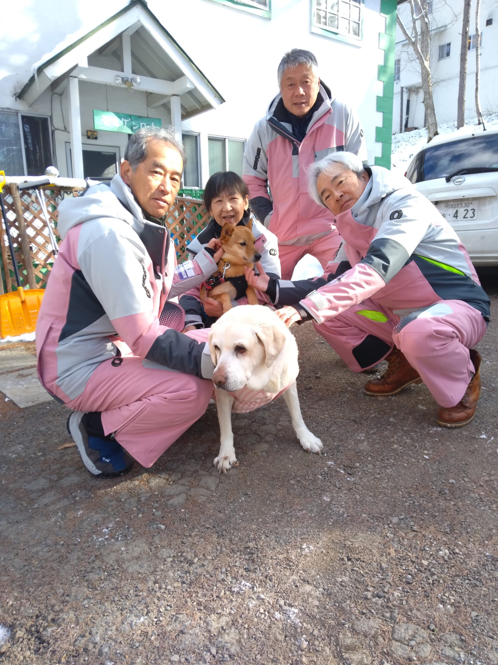 我が家の愛犬龍之介くん