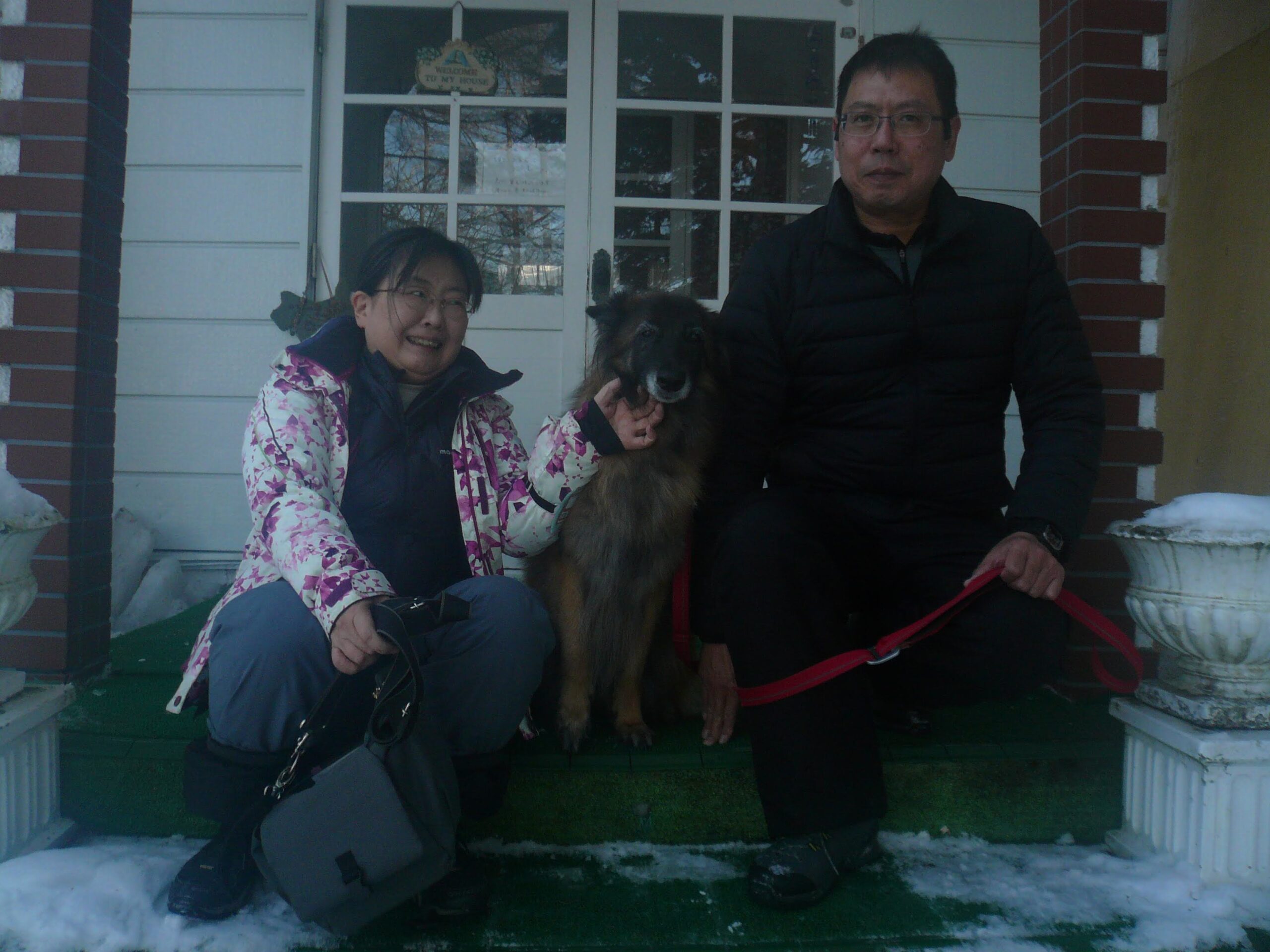 我が家の愛犬はずきちゃん