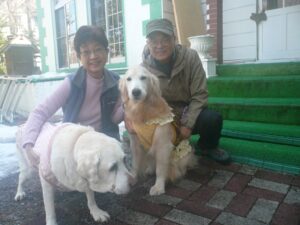 我が家の愛犬コルマちゃん