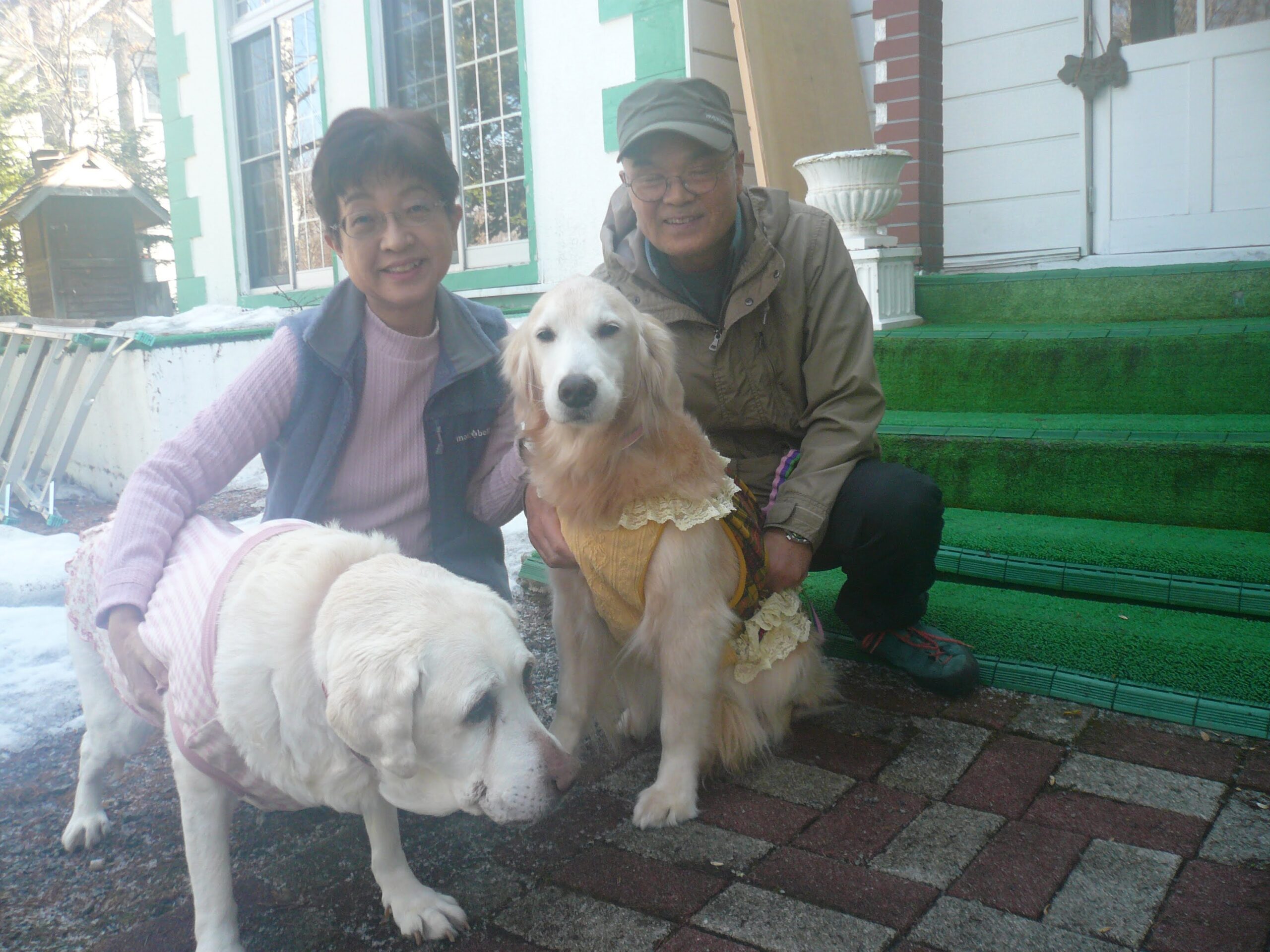 我が家の愛犬コルマちゃん