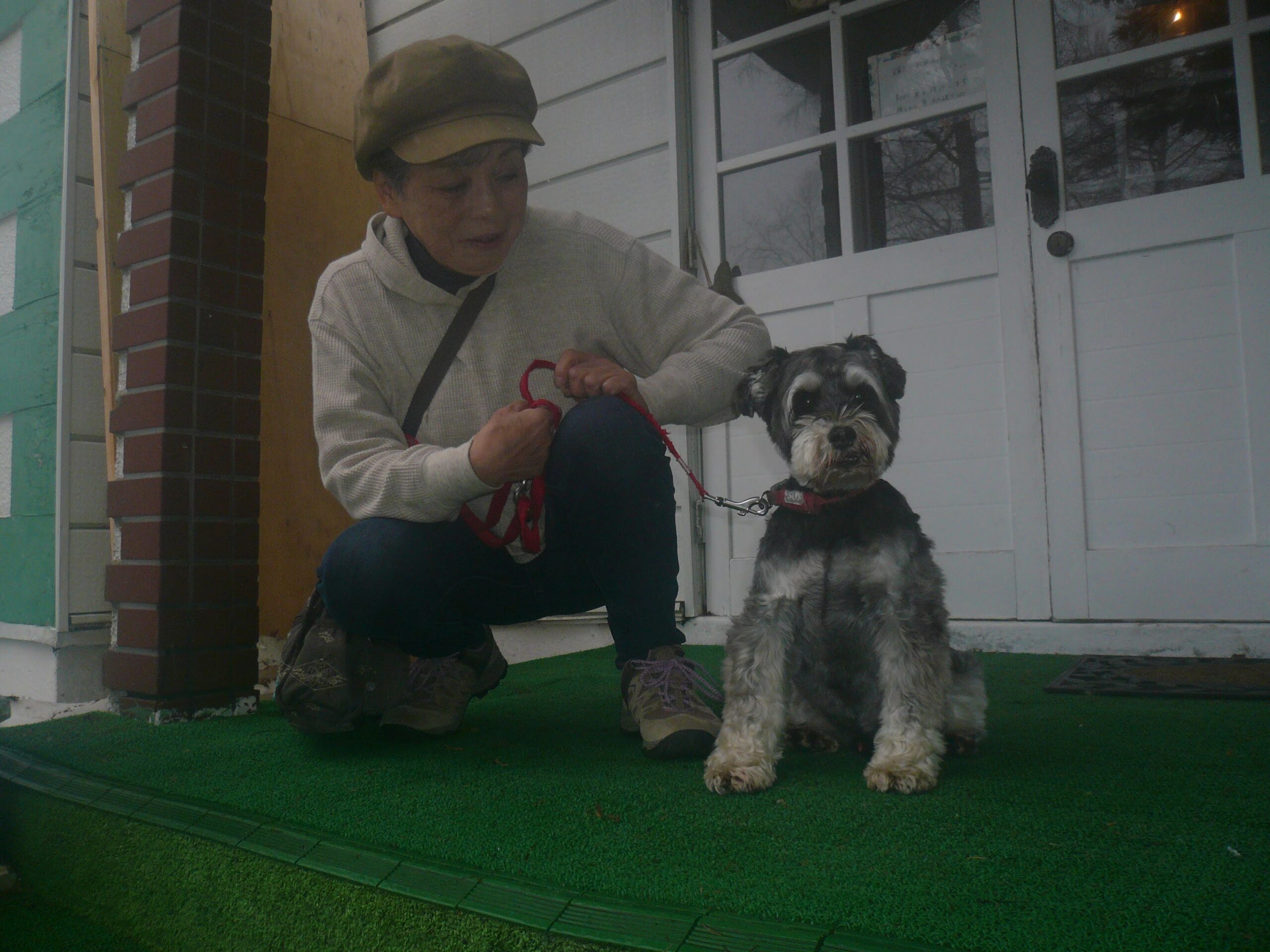 我が家の愛犬トトくん