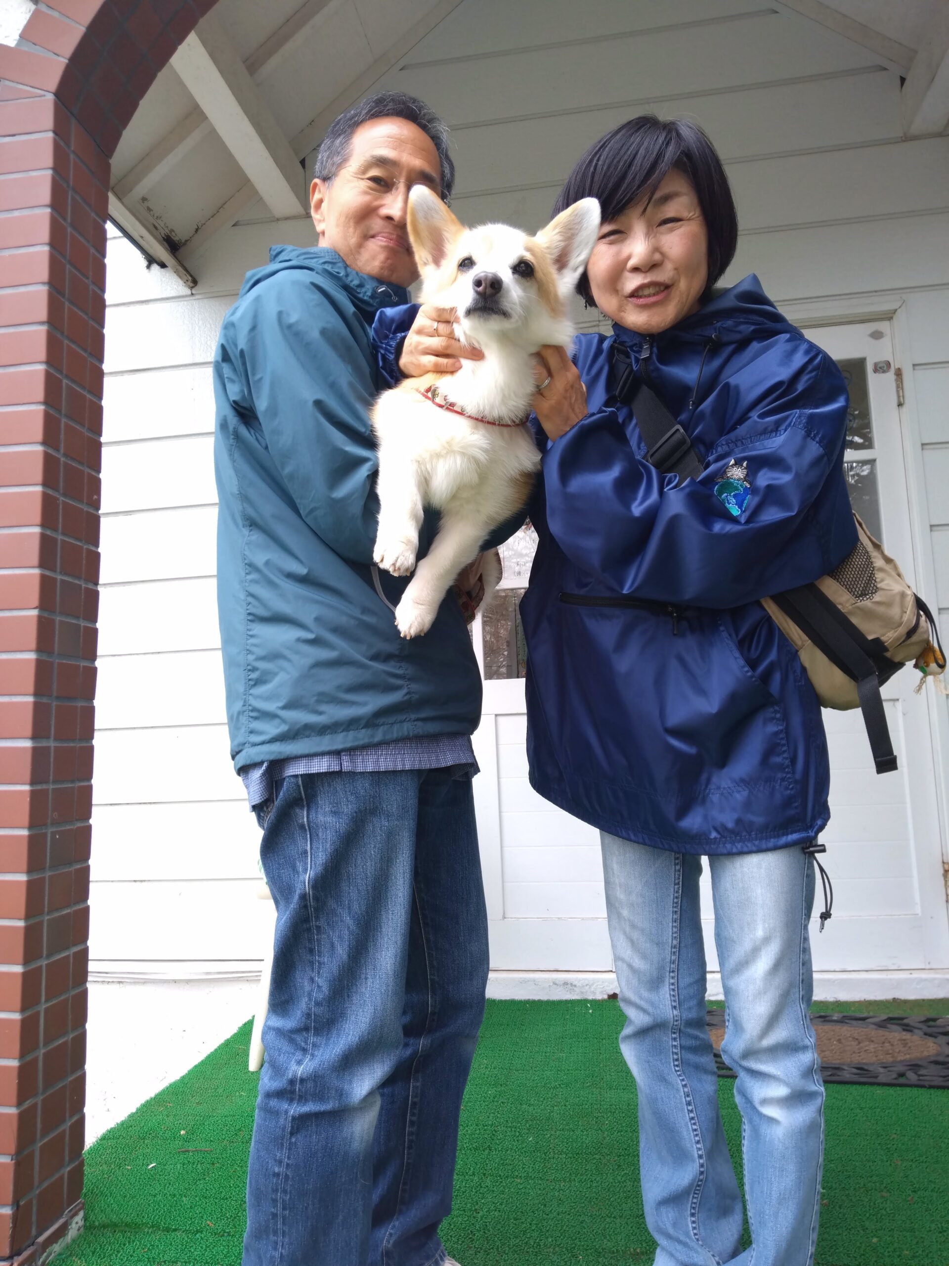 我が家の愛犬ハナニちゃん
