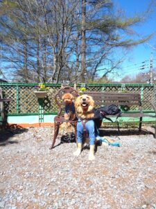 我が家の愛犬れつとくるりくん