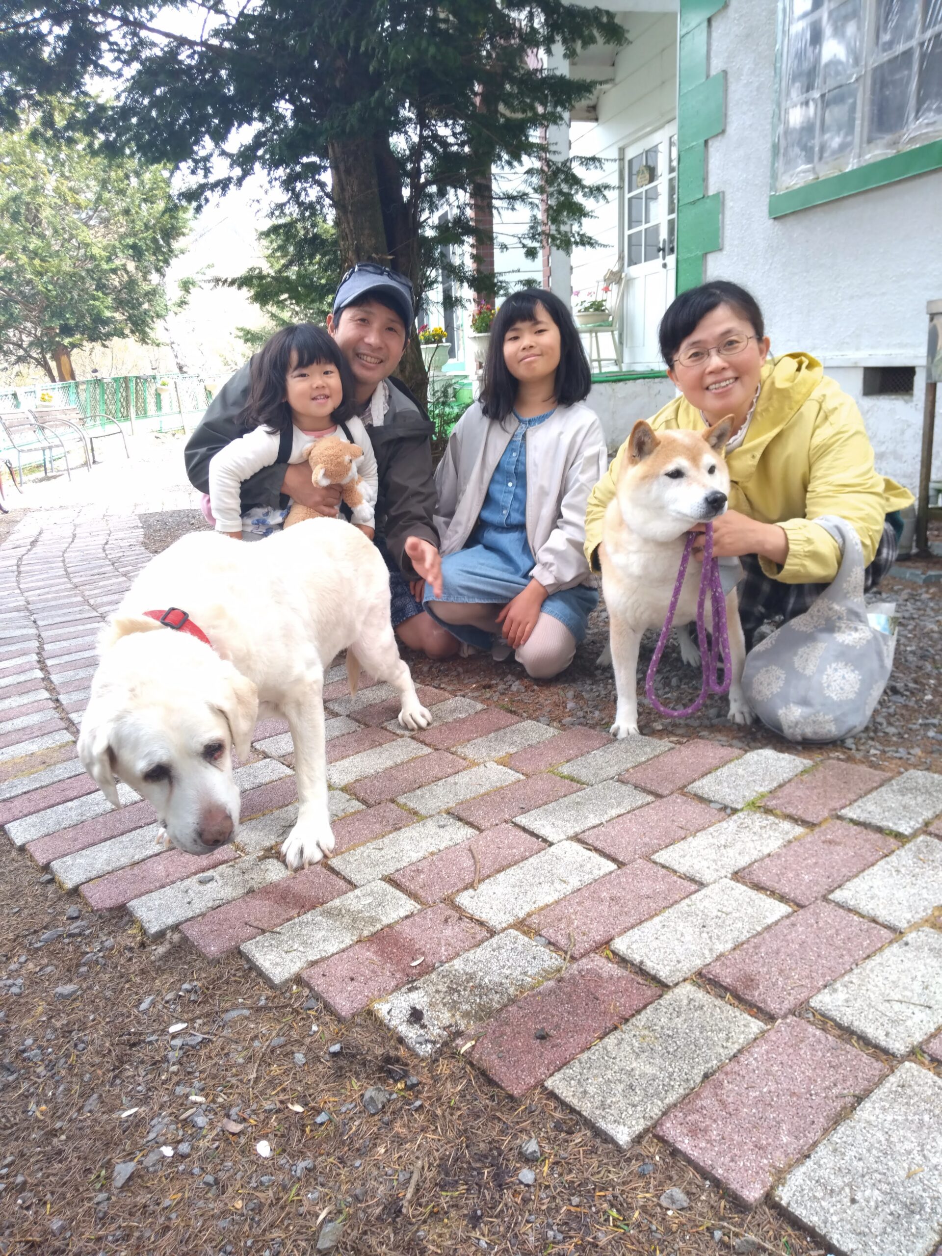我が家の愛犬だいずくん
