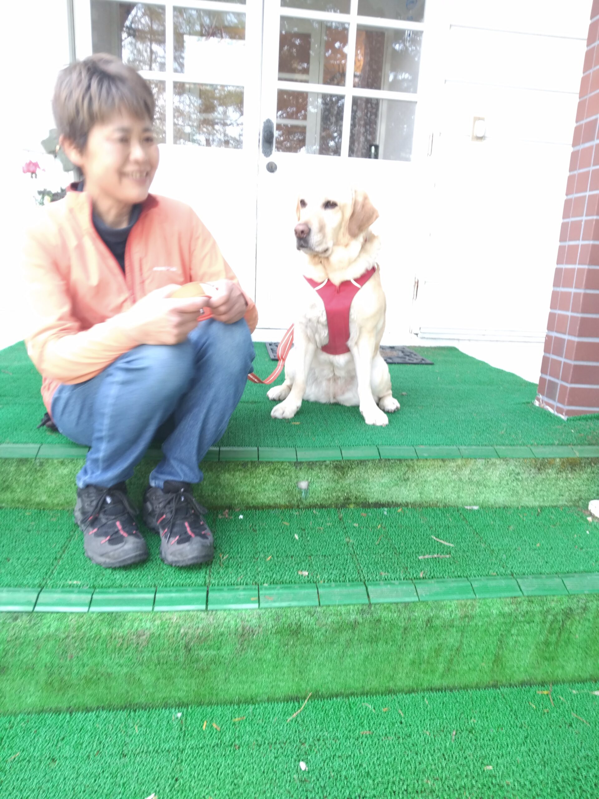 我が家の愛犬るなちゃん