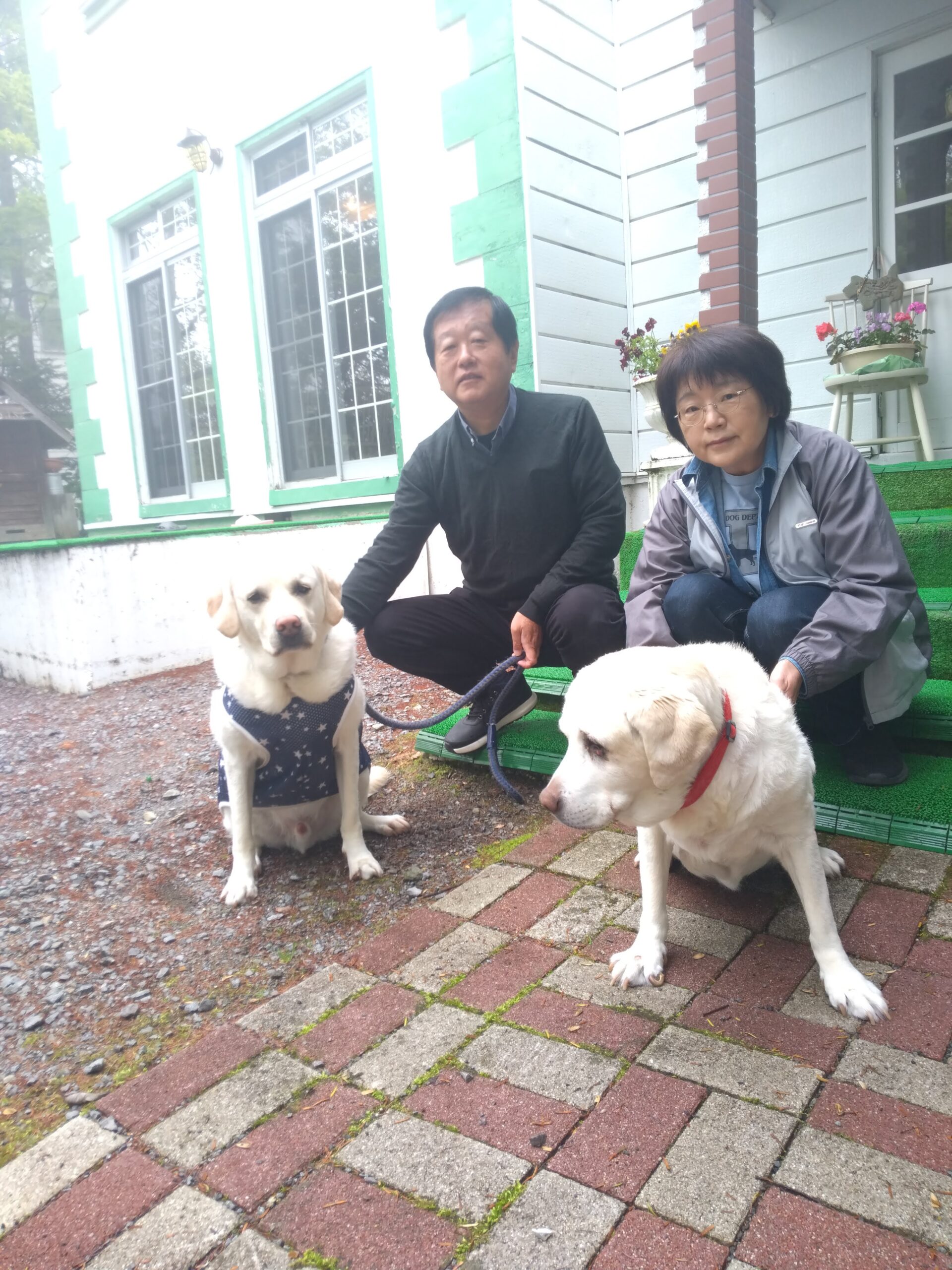 我が家の愛犬ぴぃすくん