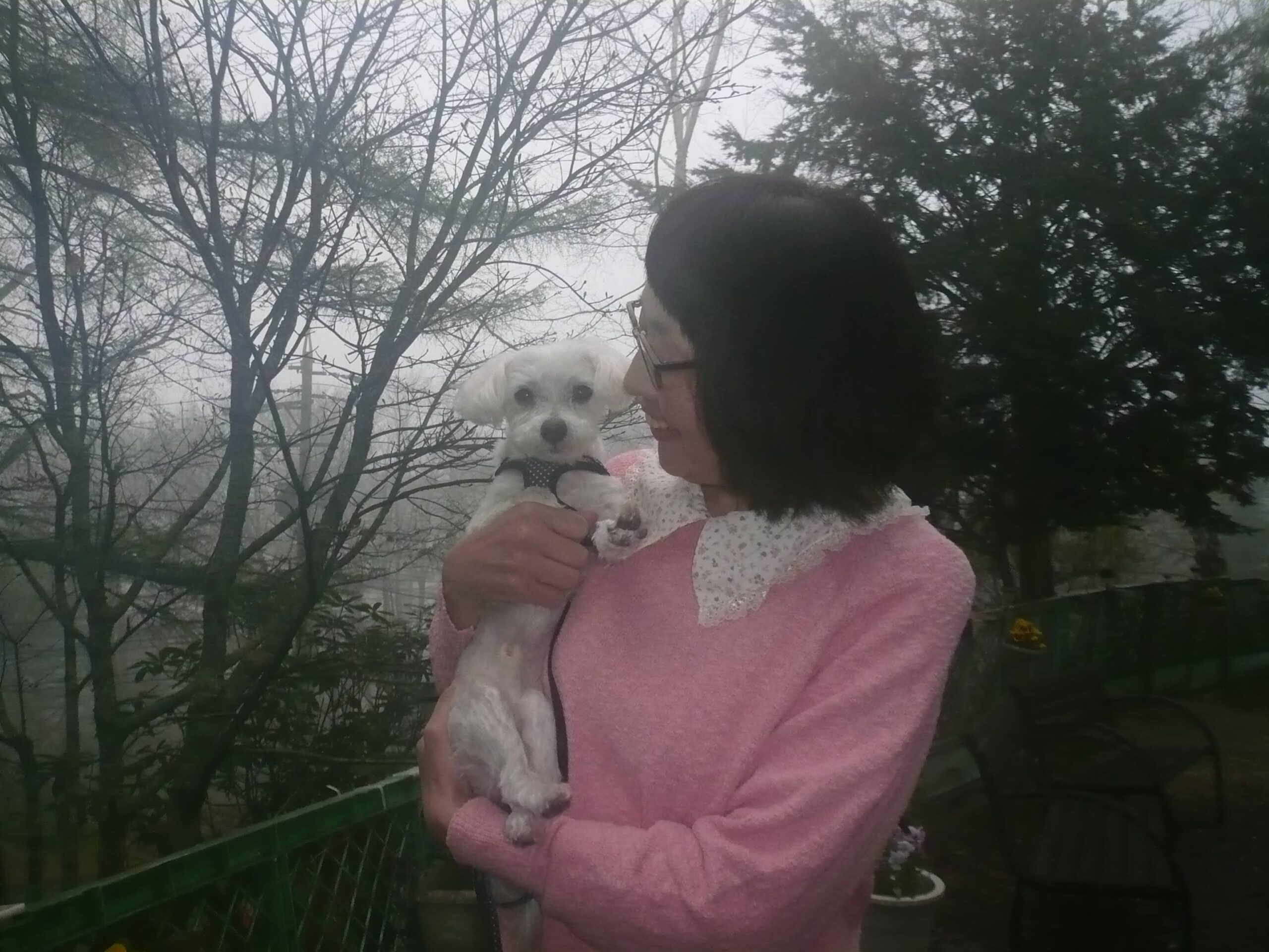 我が家の愛犬ハッピーくん