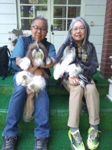 我が家の愛犬ふいことちゅらくん