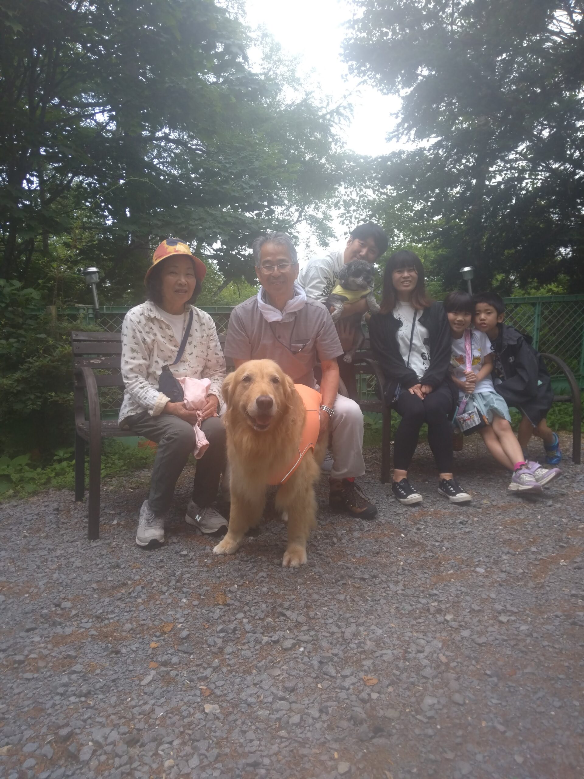 我が家の愛犬さくらちゃんとすみれちゃん