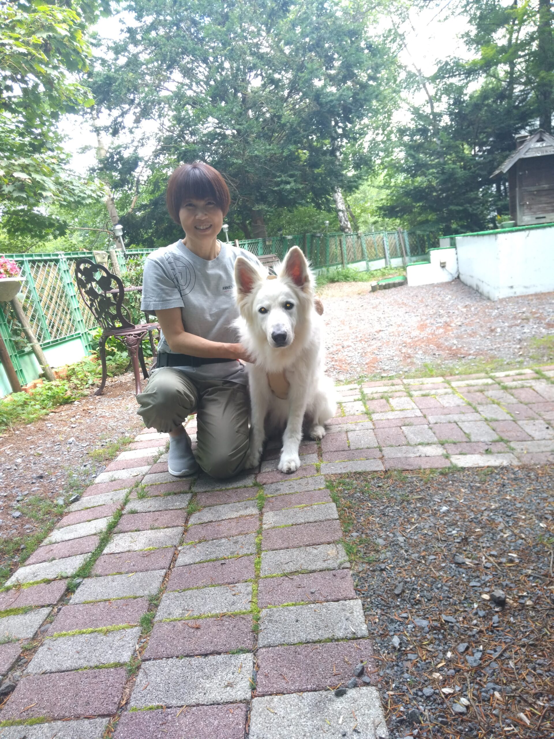 我が家の愛犬フーガちゃん