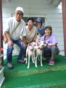 我が家の愛犬夏と空ちゃん