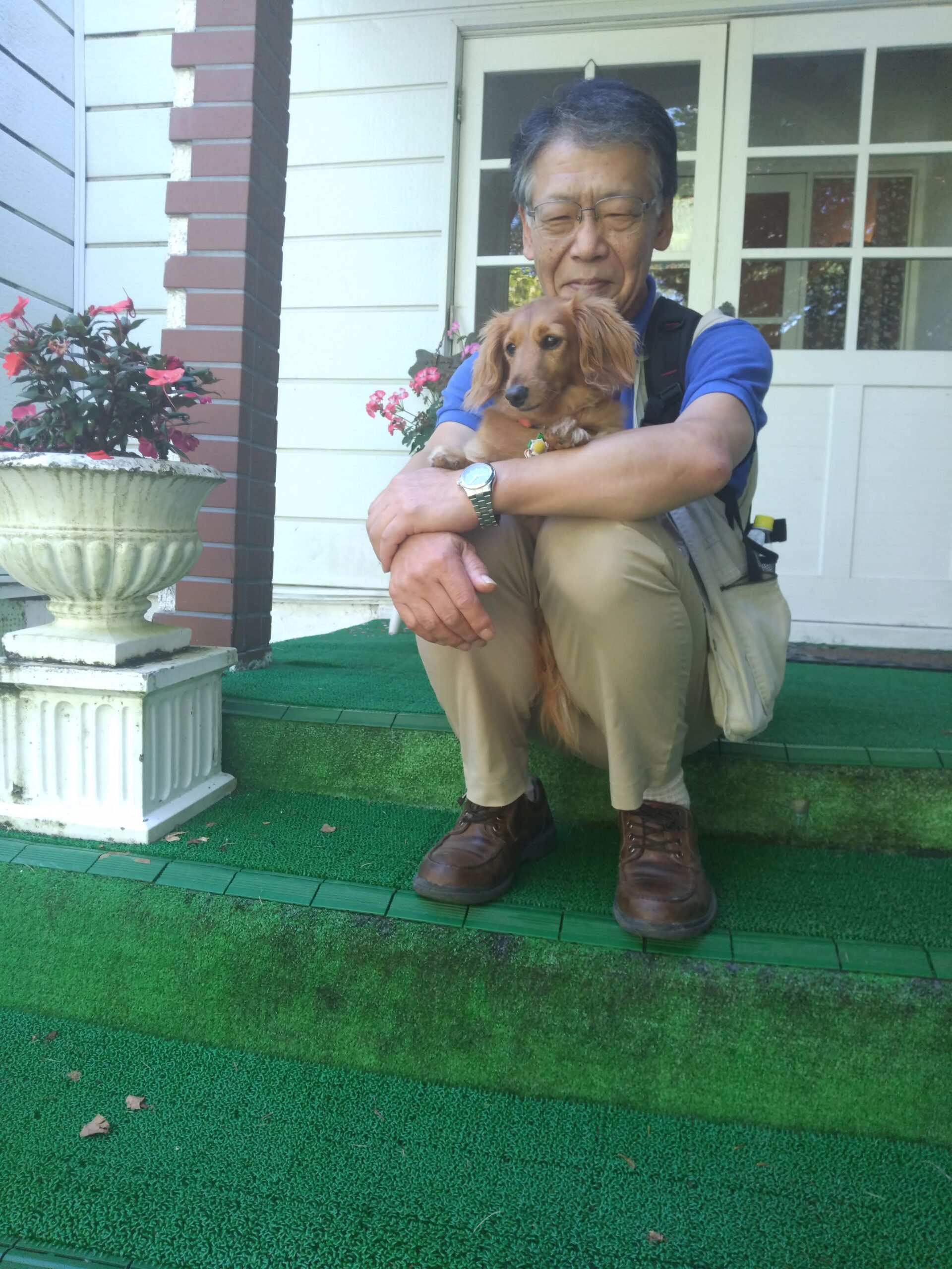 我が家の愛犬すみれちゃん