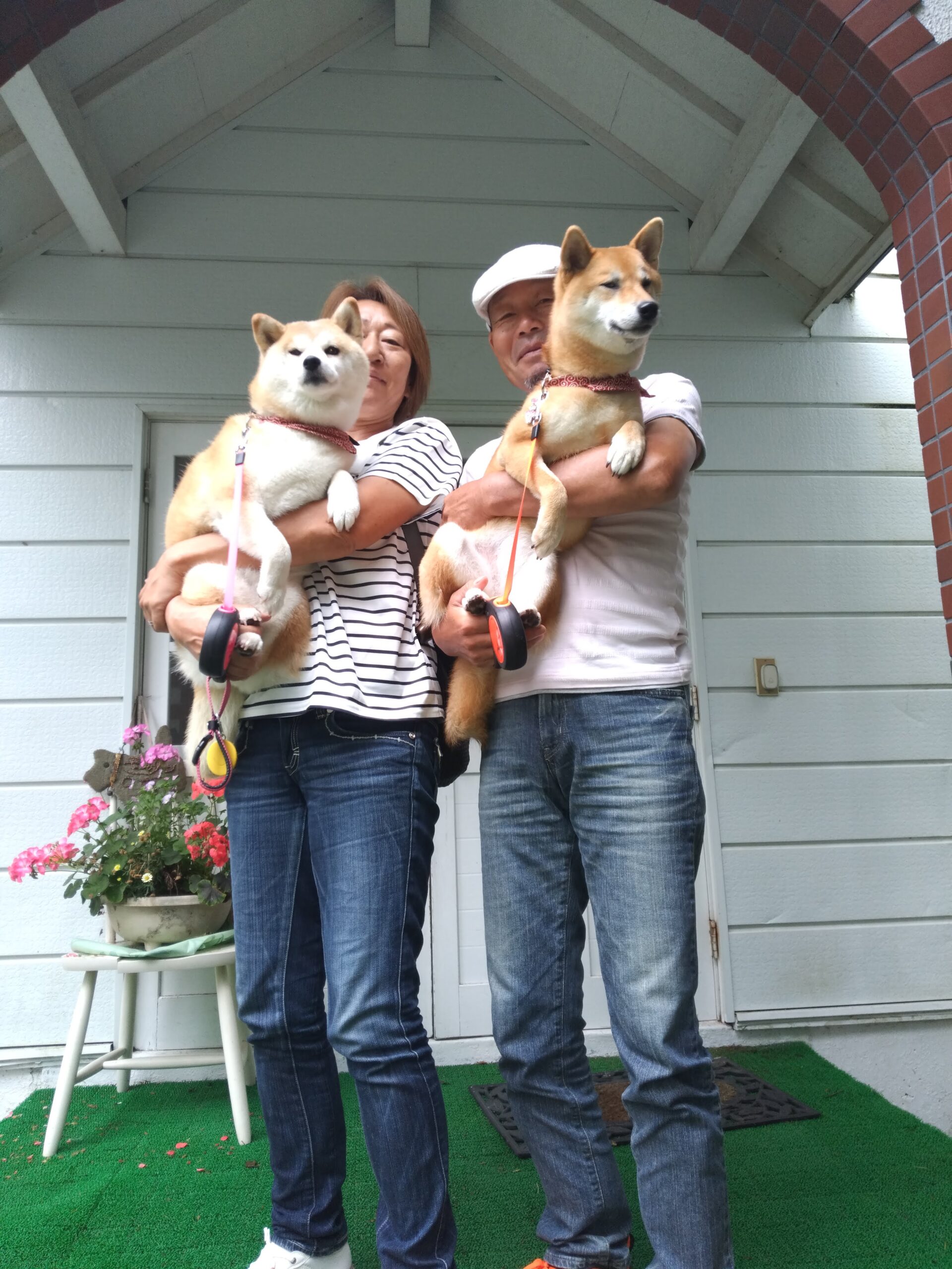 我が家の愛犬らんちゃんとてぃすちゃん