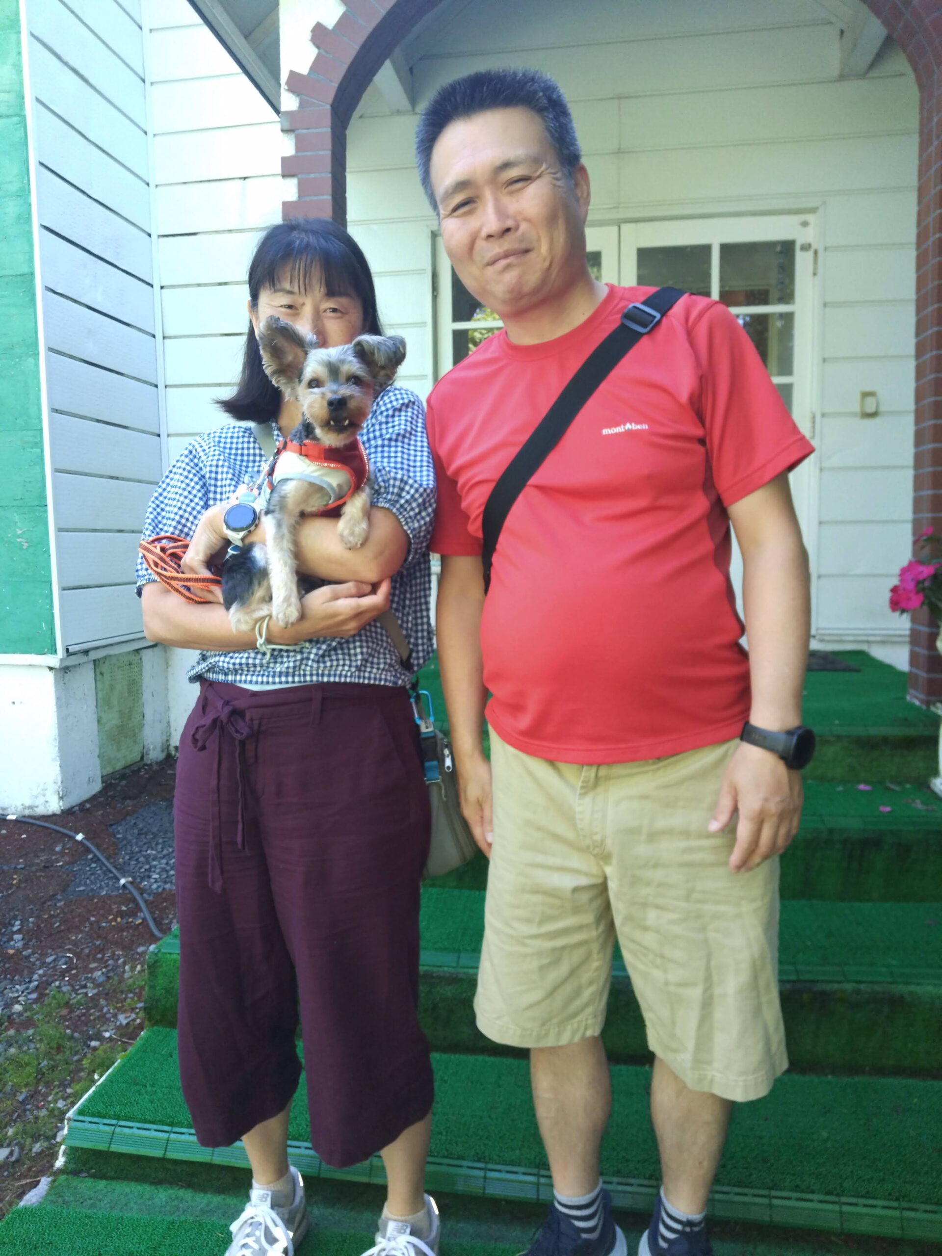 我が家の愛犬ソラくん