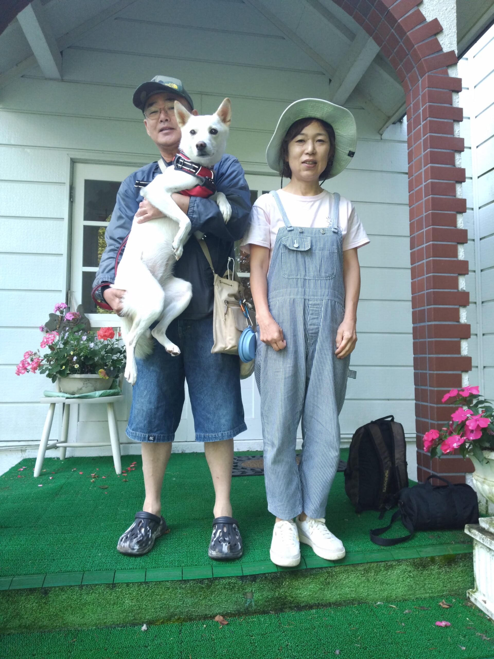 我が家の愛犬ナナちゃん