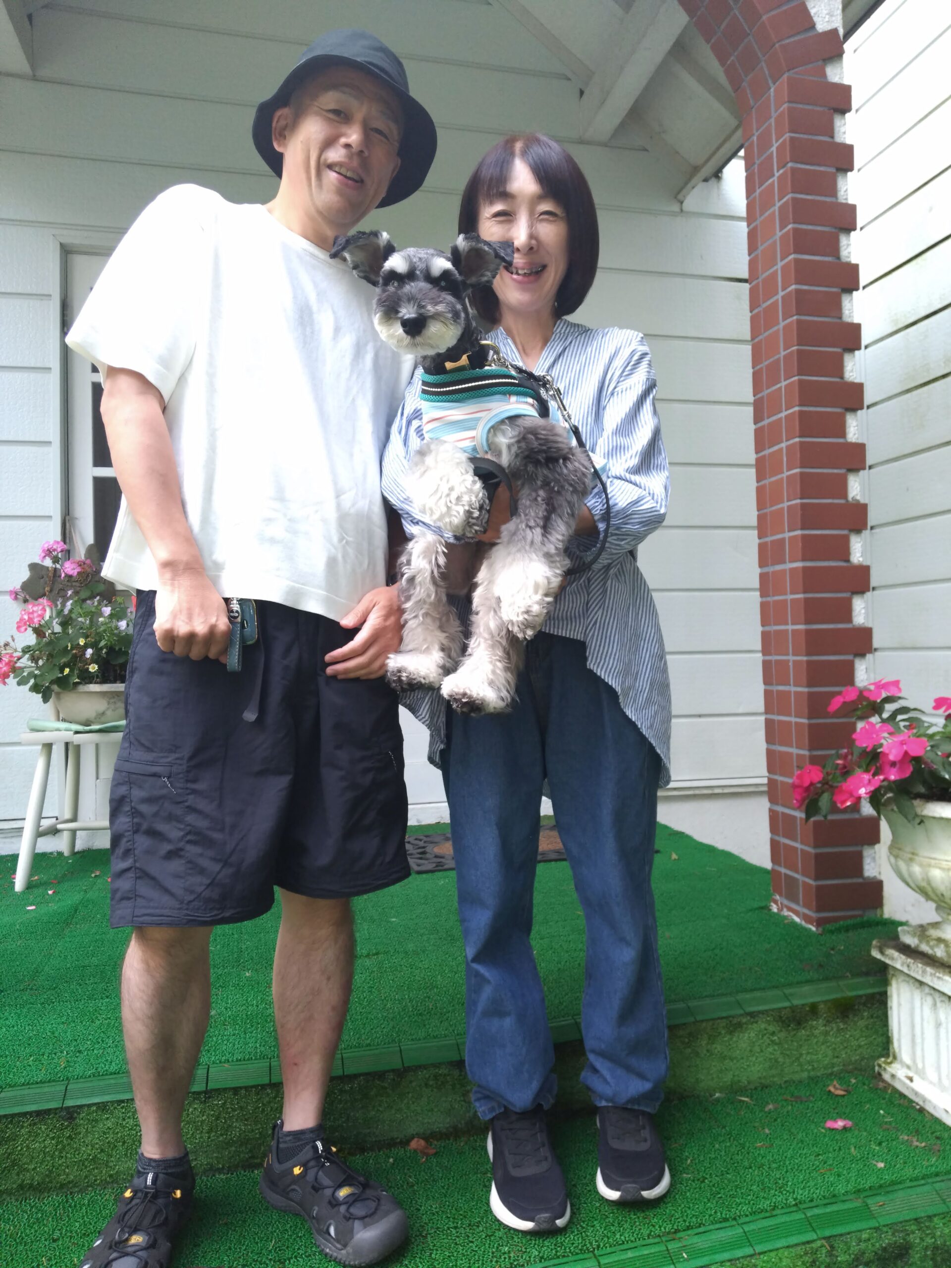 我が家の愛犬りくくん