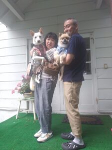我が家の愛犬ららちゃんとくうたくん