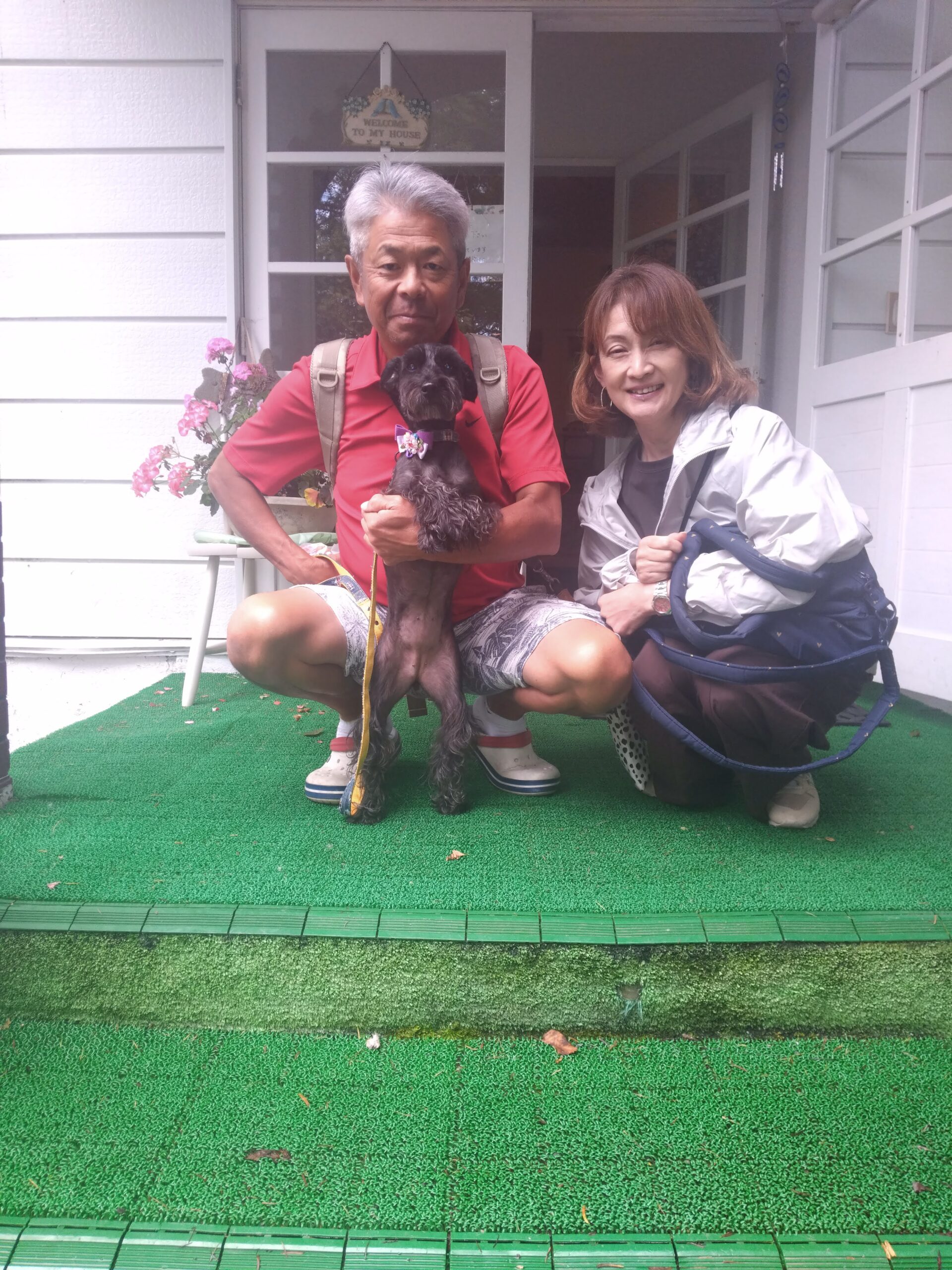 我が家の愛犬ビッケくん