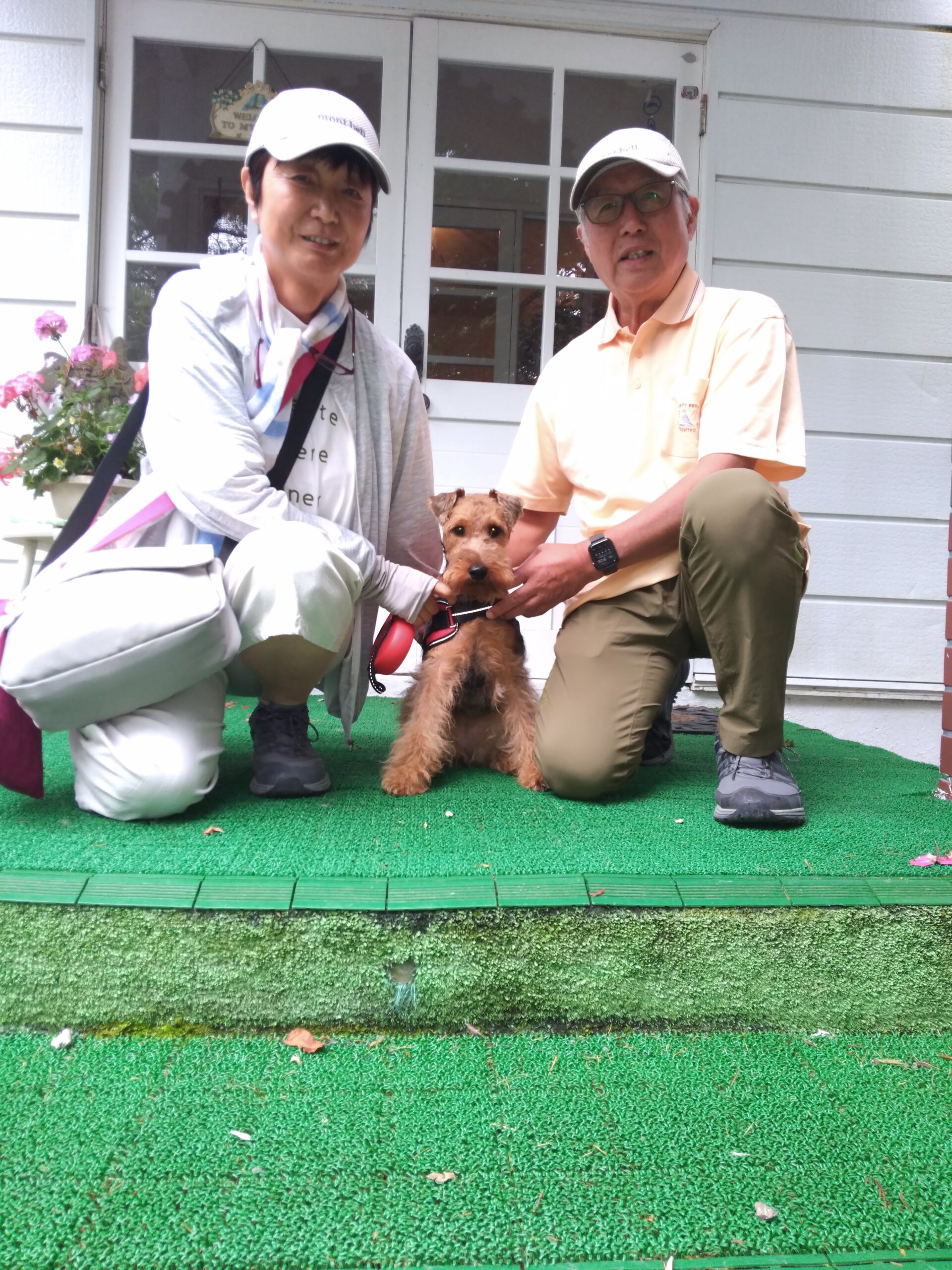 我が家の愛犬アンちゃん