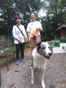 我が家の愛犬二八くん