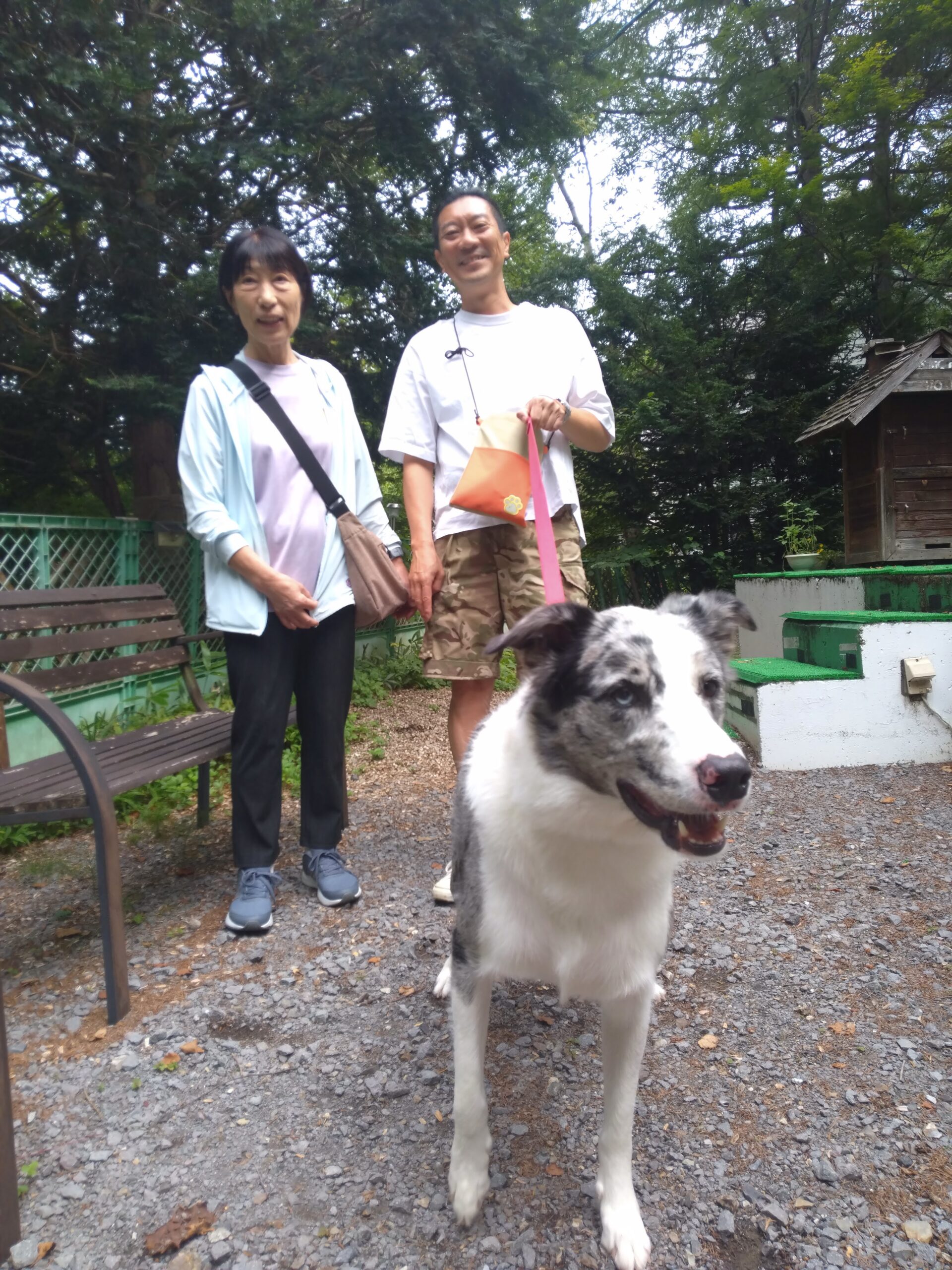 我が家の愛犬二八くん