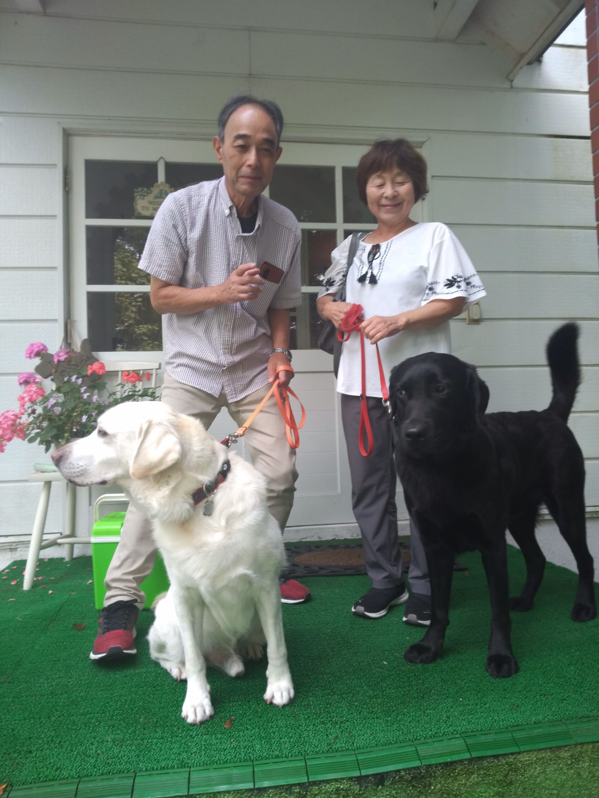 我が家の愛犬ドラくんと福くん