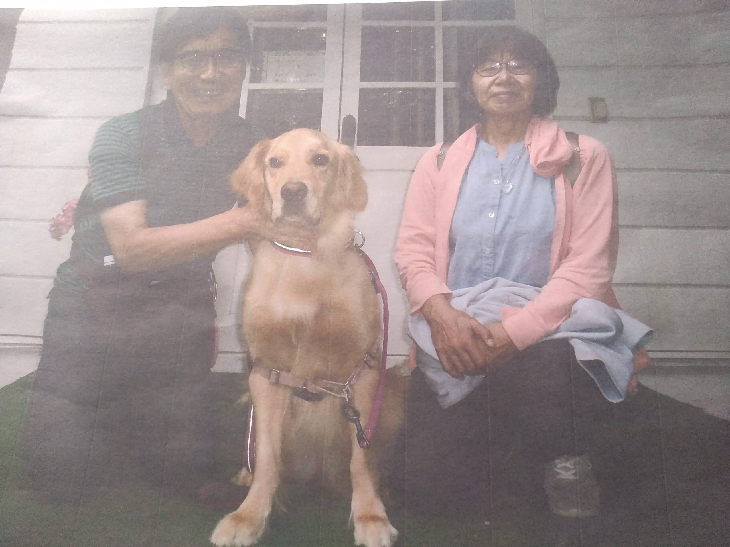 我が家の愛犬メグちゃん