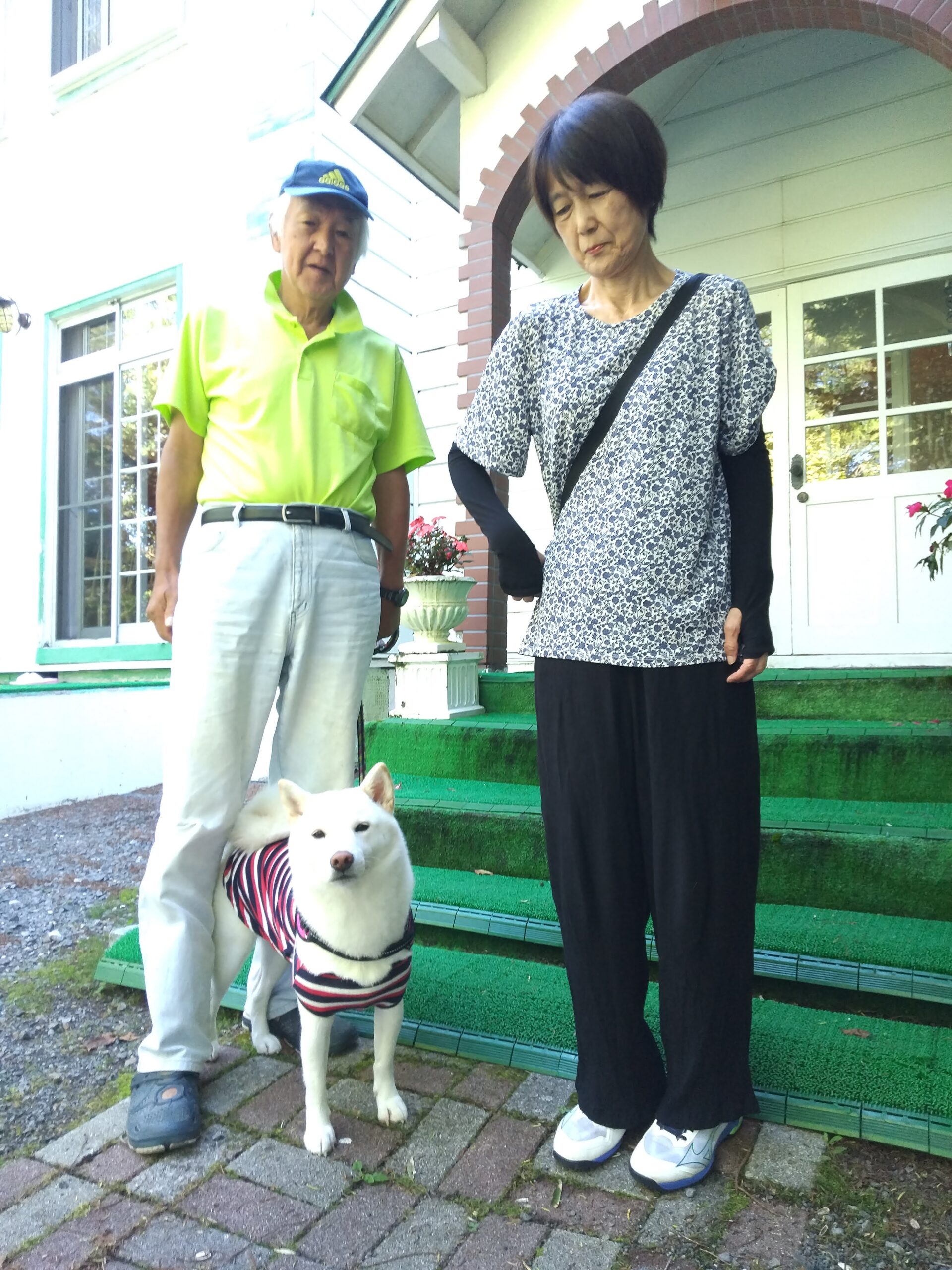 我が家の愛犬ふわりちゃん