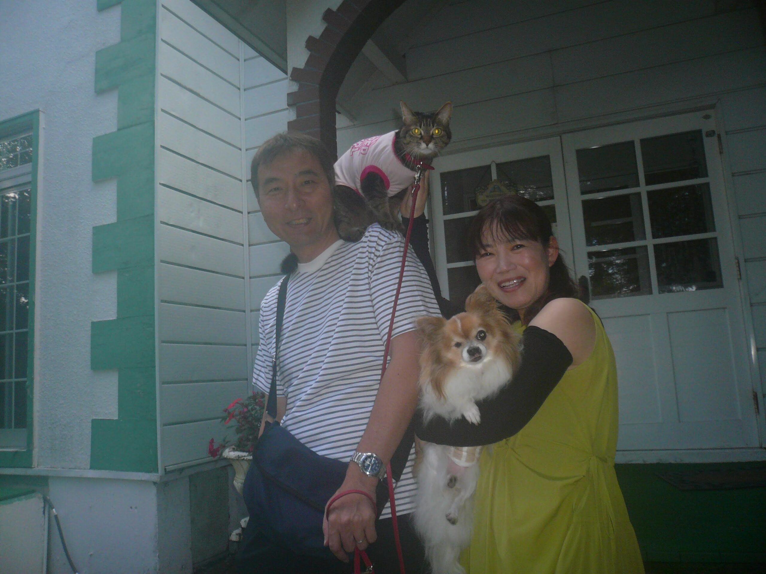 我が家の愛犬琉くんと花ちゃん