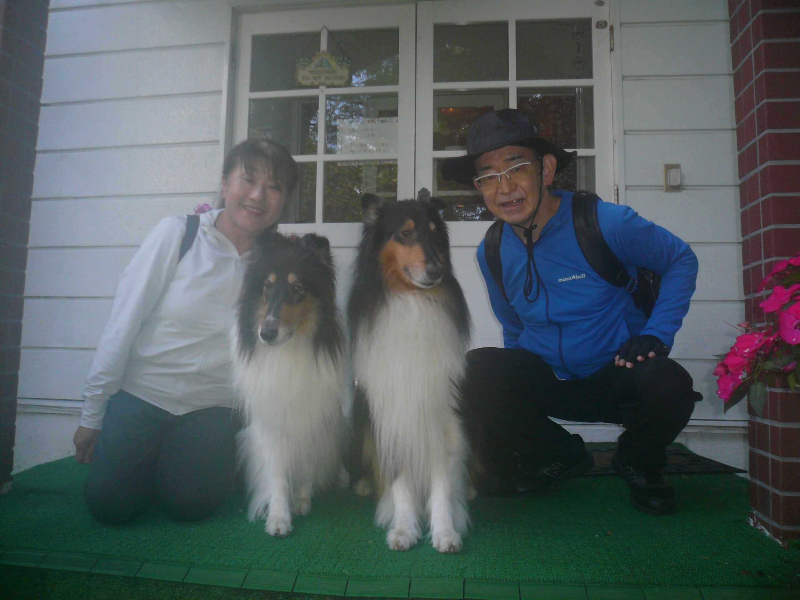 我が家の愛犬キキちゃんとトビーくん