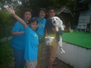 我が家の愛犬るびんちゃん