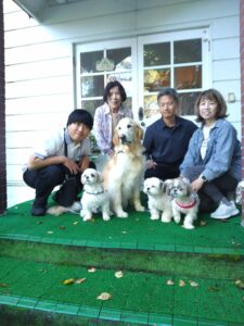 我が家の愛犬メープルくんとりんたろうくんとシロくんと姫ちゃん