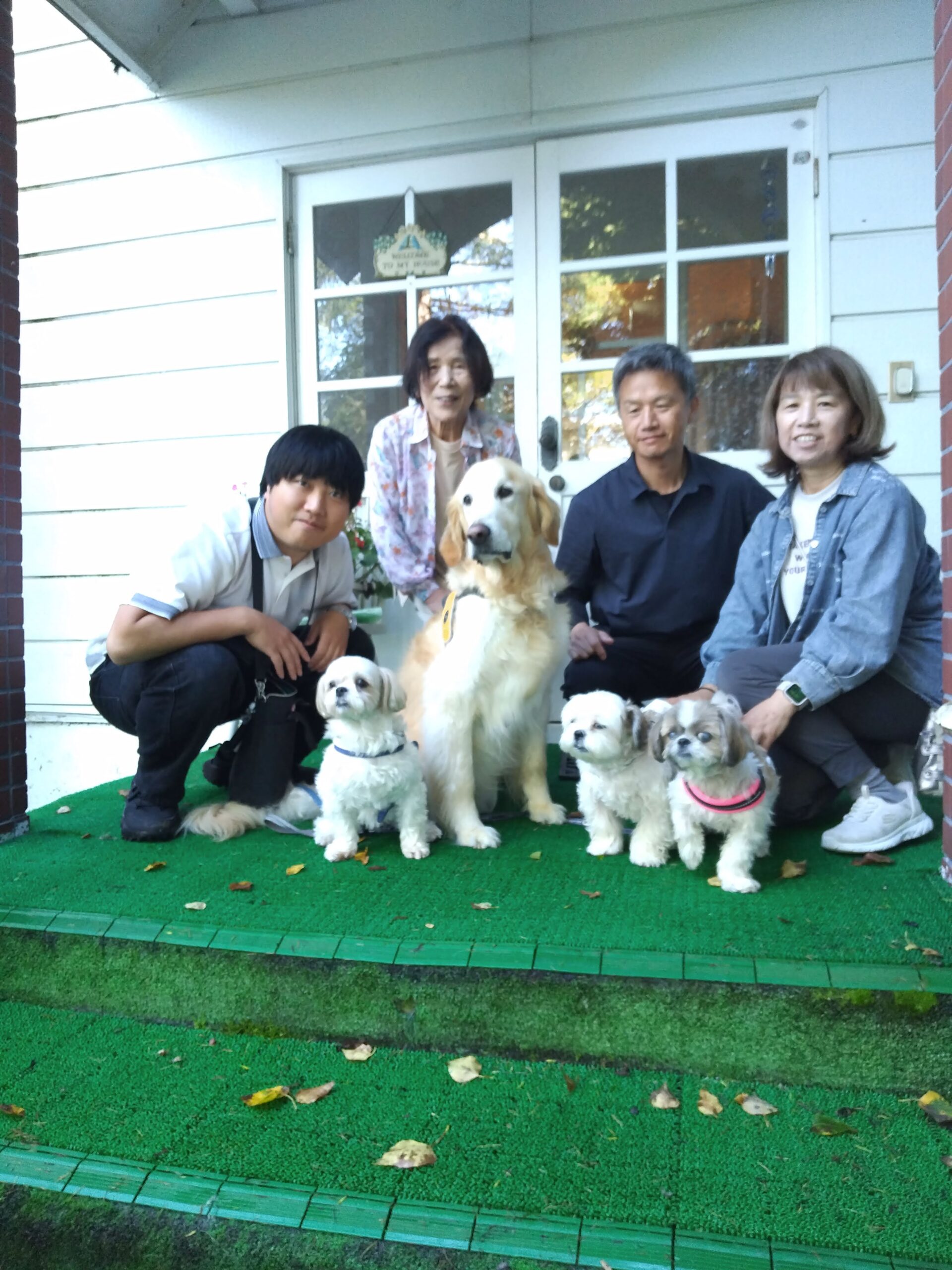 我が家の愛犬メープルくんとりんたろうくんとシロくんと姫ちゃん