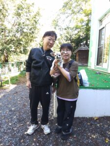 我が家の愛犬ナナちゃん