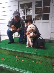我が家の愛犬空くん