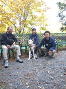 我が家の愛犬のんくん