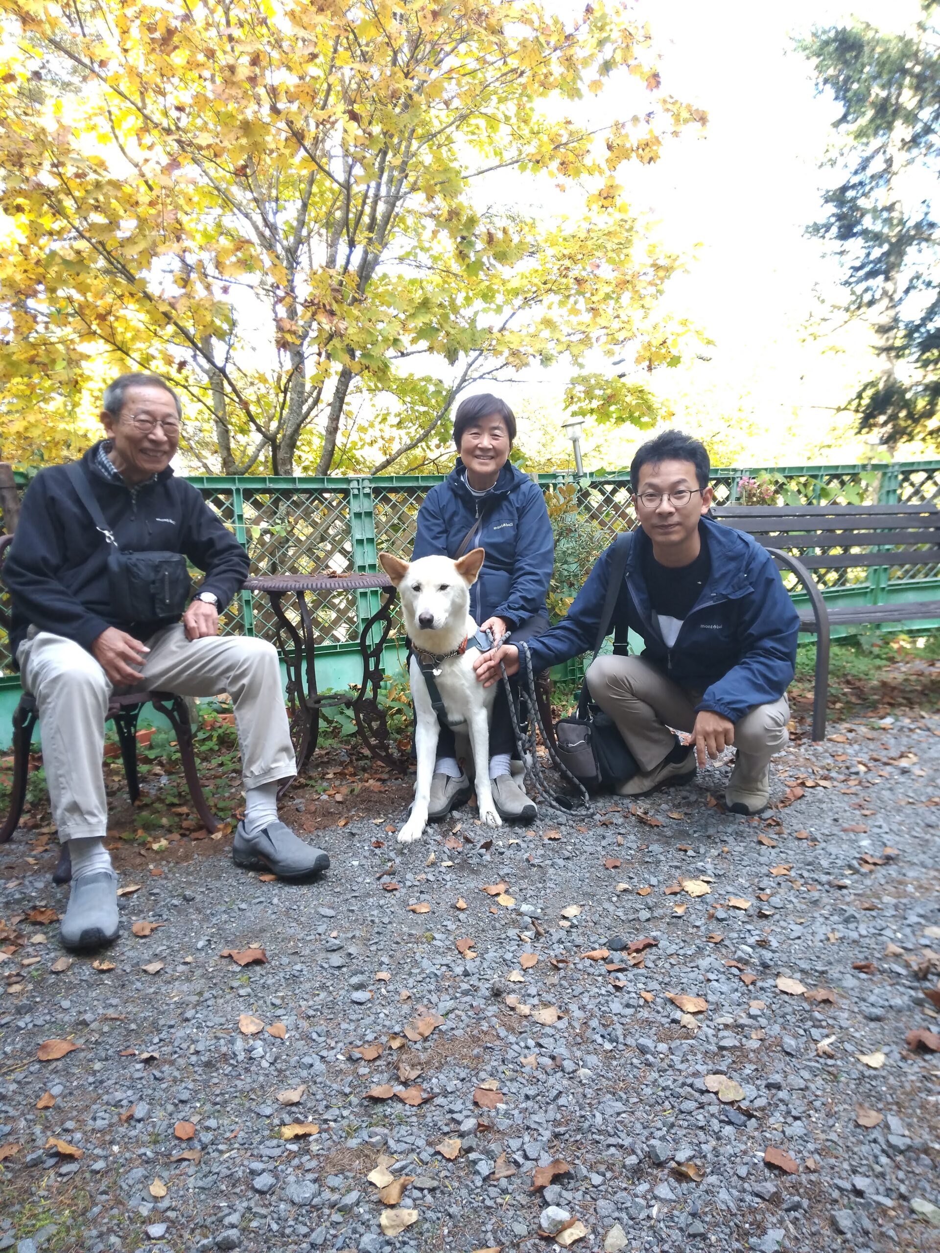我が家の愛犬のんくん