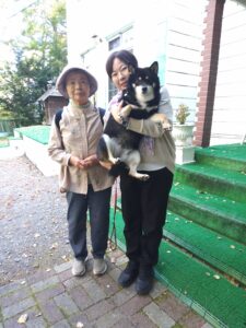 我が家の愛犬きのこちゃん