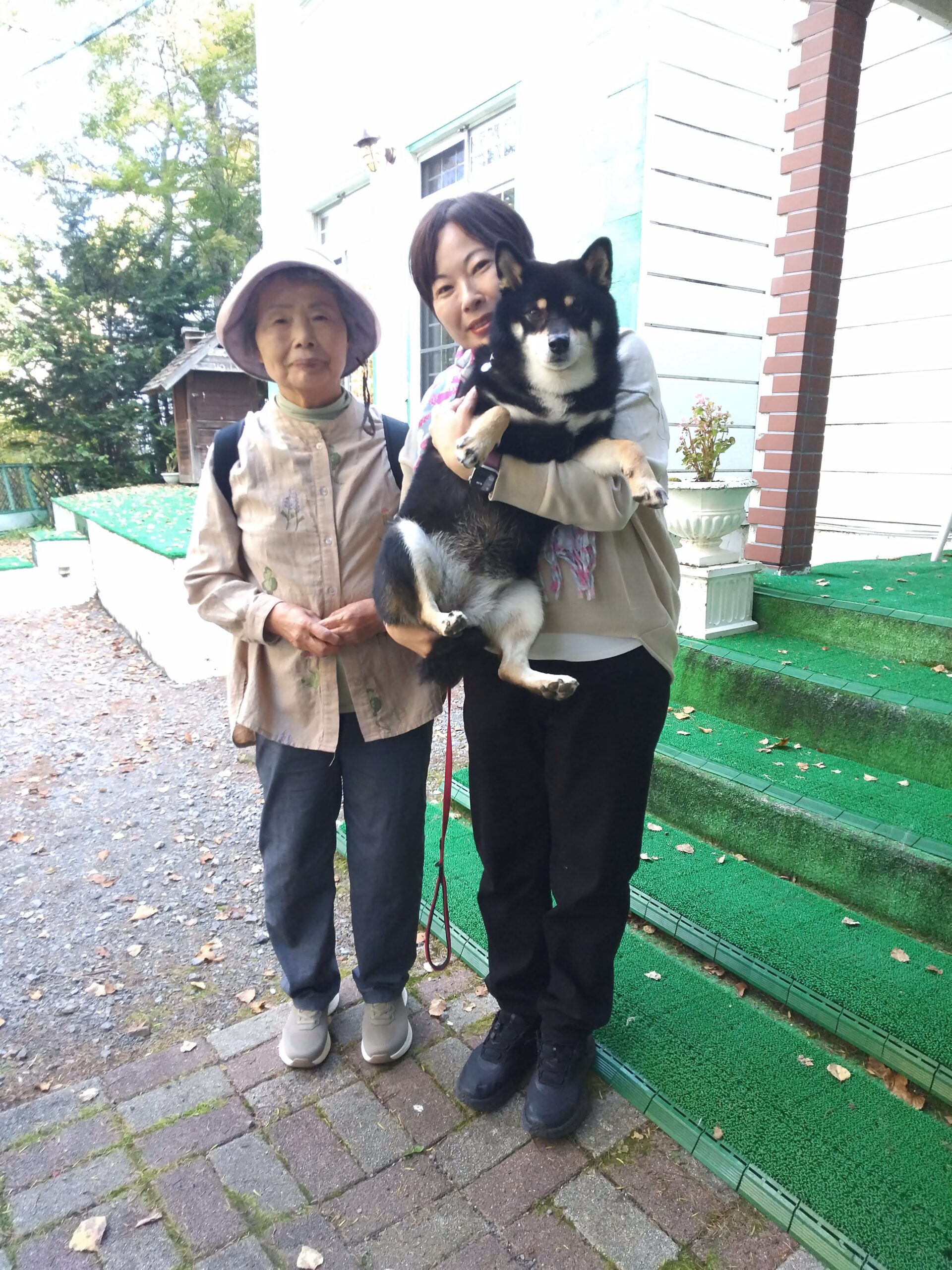 我が家の愛犬きのこちゃん