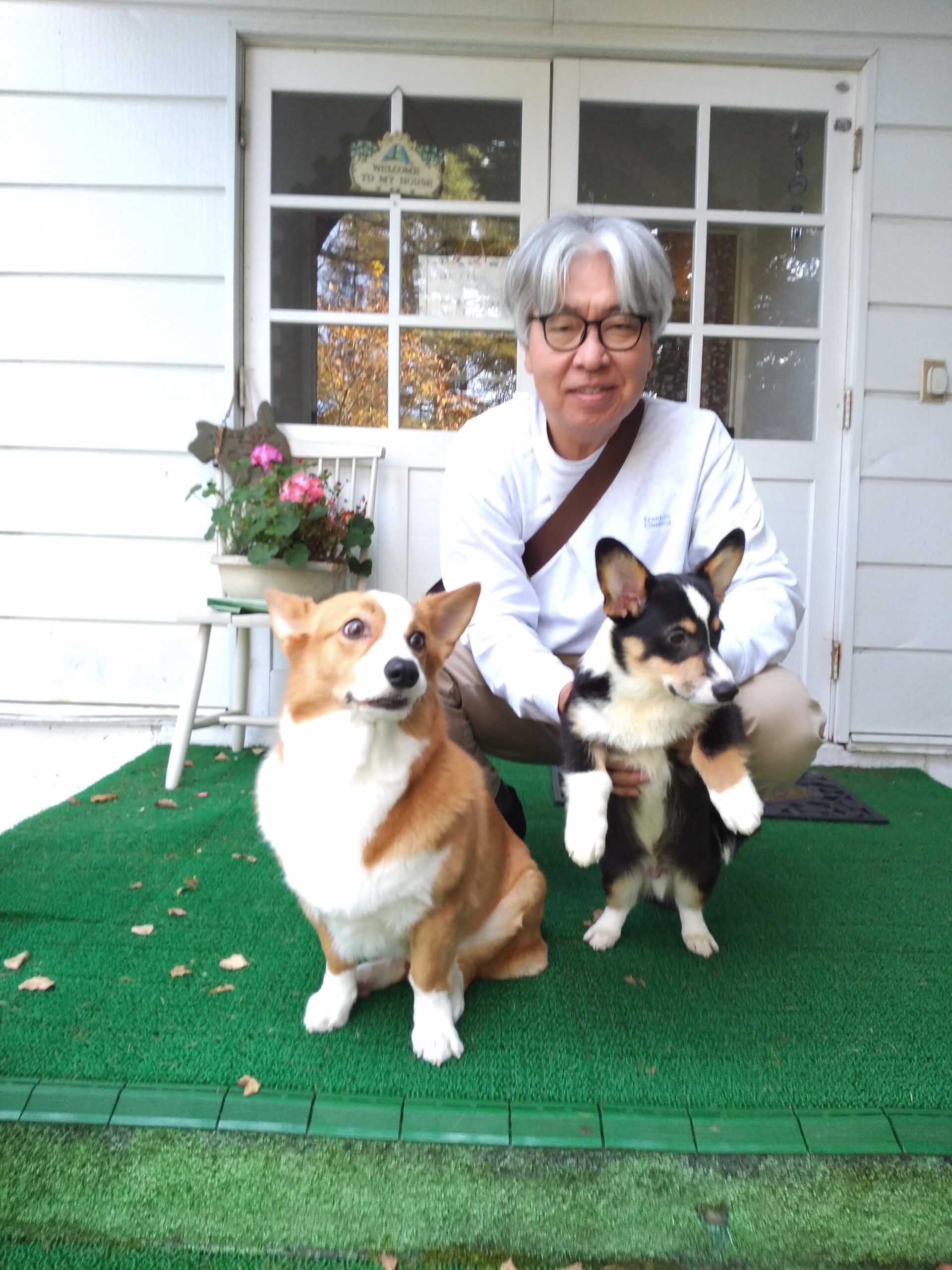 我が家の愛犬まーるくんとるーくくん