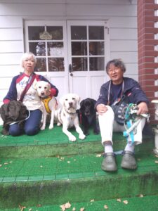 我が家の愛犬フィリップくんとグラブとコークくん