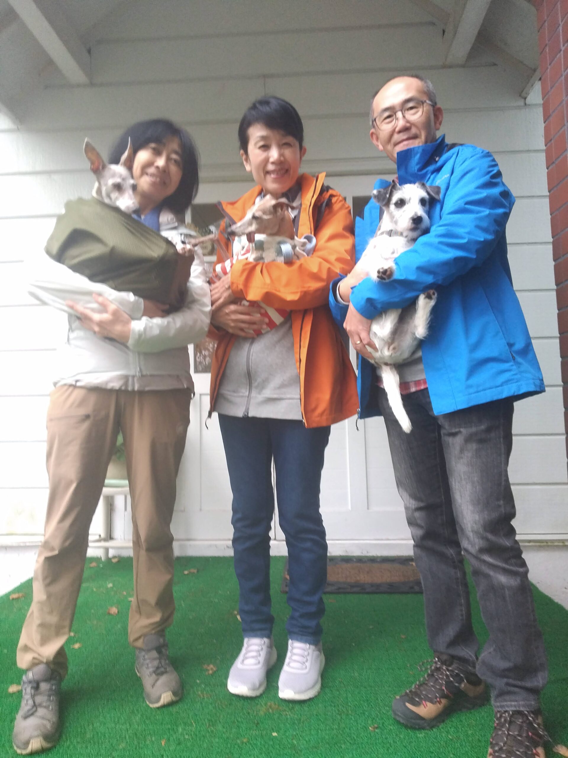我が家の愛犬シオンちゃんと小雪ちゃんときっかちゃん