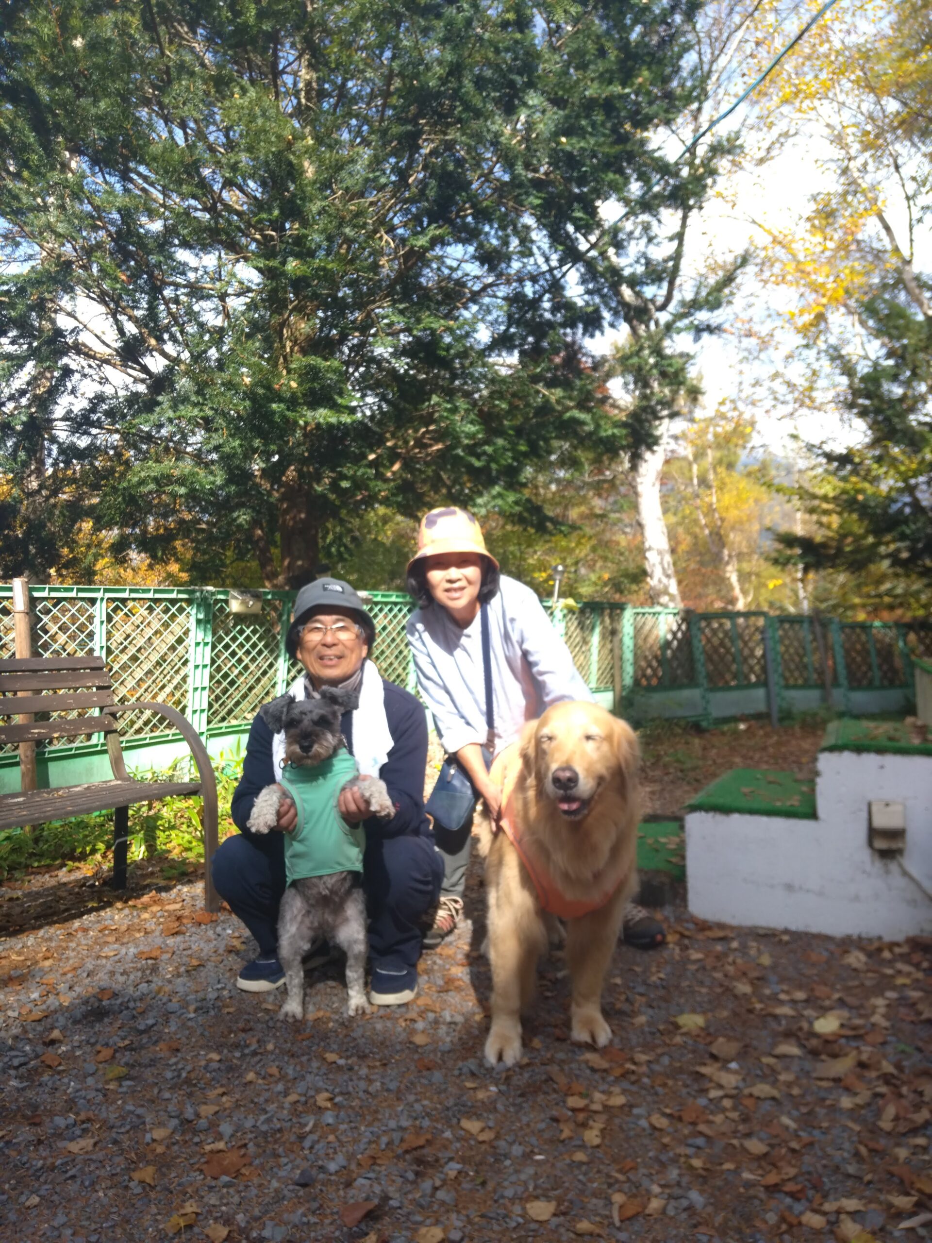 我が家の愛犬さくらちゃんとすみれちゃん