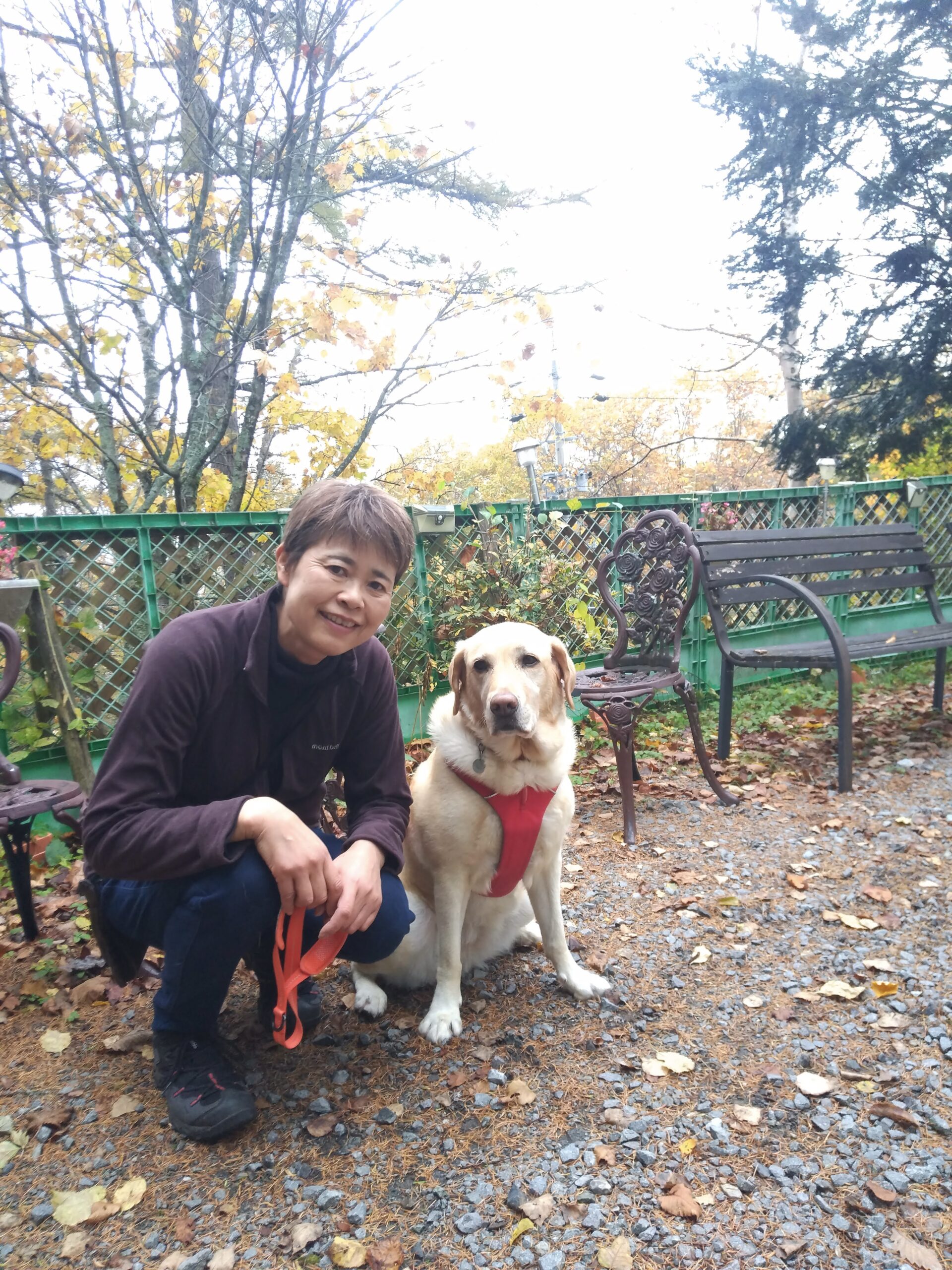 我が家の愛犬るなちゃん