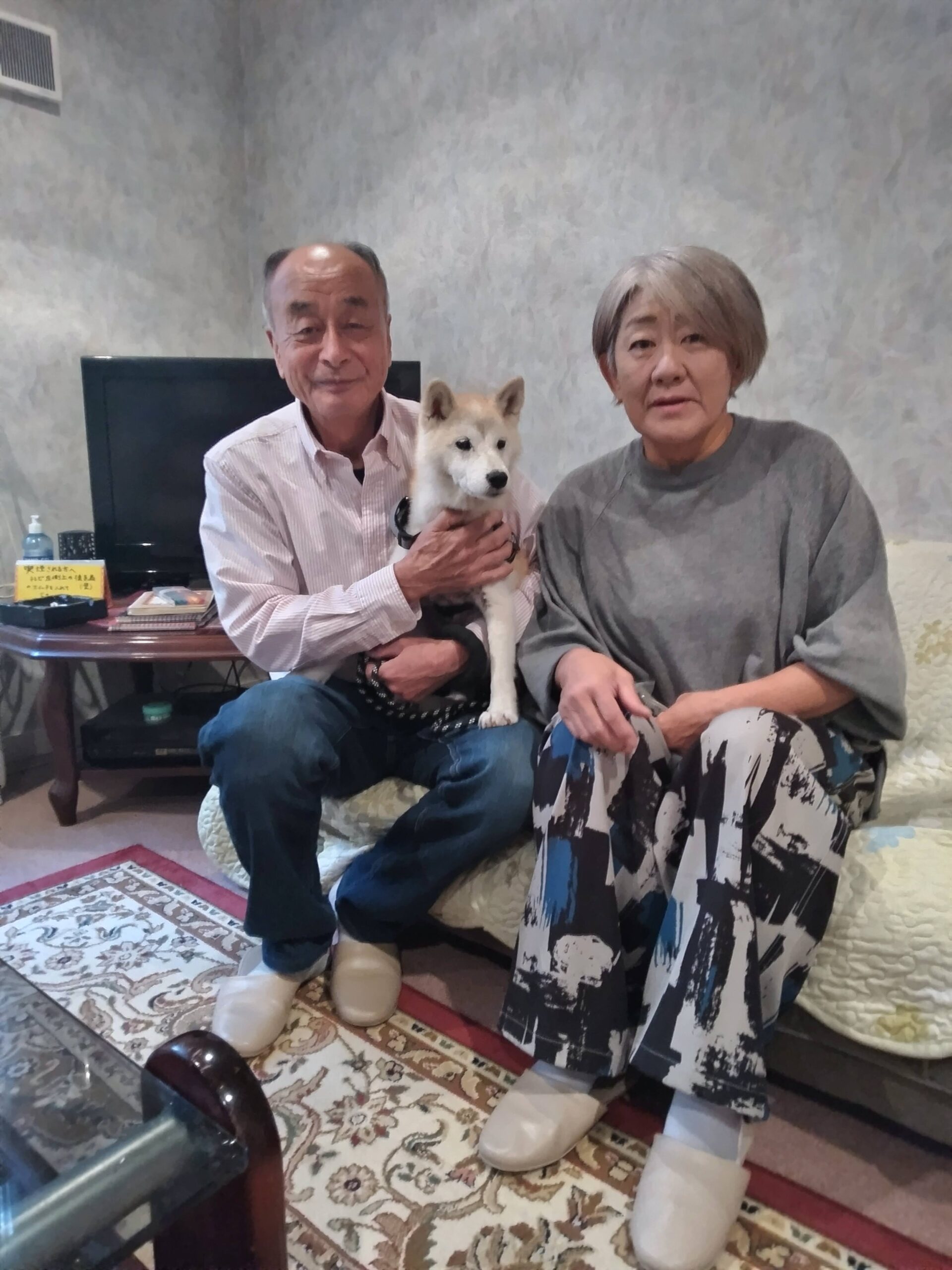 我が家の愛犬どらこちゃん